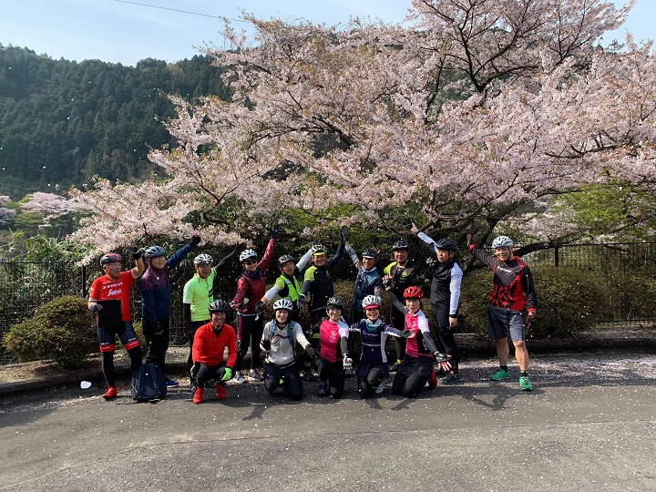 【モーニングライド・黒瀬ダム～石鎚ロープウェイ乗り場まで】春を満喫ライドして来ました！