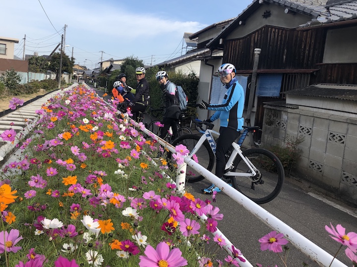 【のんびりモーニングライド】11/17新居浜サイクリングロードと広瀬公園。Gojyoのタマゴロールでもぐもぐタイム♩