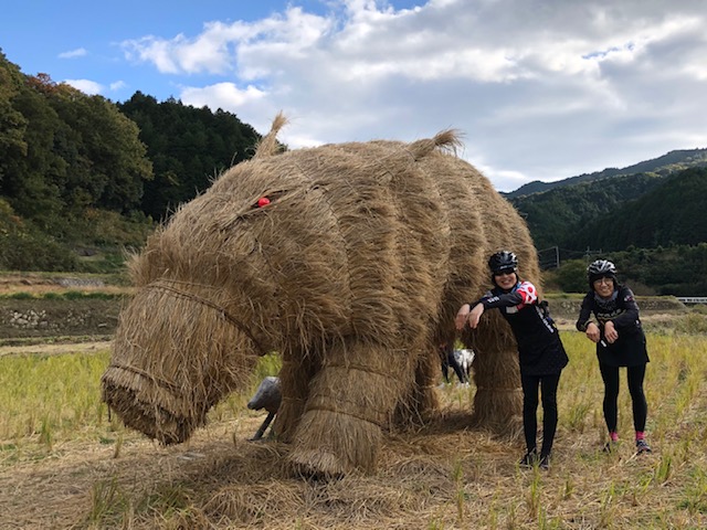 【水曜女性ライド】11/20　スタッフSACHIKOリハビリ復活ライド。電動アシストバイクで玉川・美味しいパン屋とランチライド