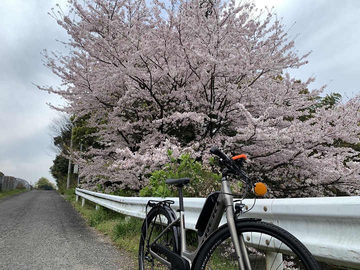 【e-bike（電動アシストスポーツバイク）四国中央市お花見サイクリング】高速側道のアップダウンも快適♪