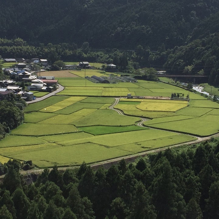 5月の営業案内とイベントスケジュール