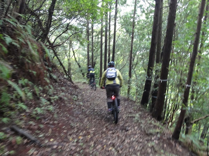 【MTBで遊ぼう】マウンテンバイクなら雨上がりもお任せ！基本テクニックの練習後ショートライドとケーキタイム♪