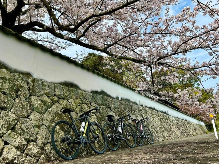 【ホッとモーニングライド お花見ライドで笑顔満開】