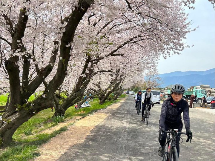 【2024年3月イベント案内】自転車基本スクール・初心者ツーリング・道路清掃活動・MTB・水曜（女性ツーリング・みやホリ）