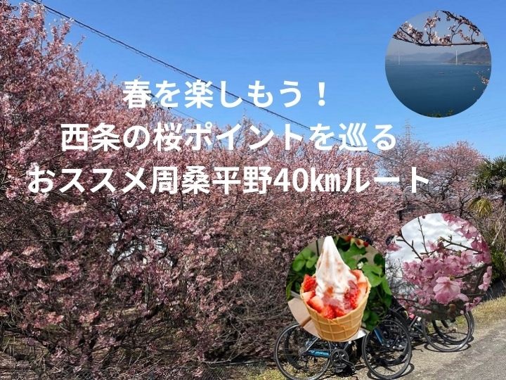 【保存版】地元サイクリストが教える、西条の「隠れた桜の名所」巡りルート40㎞　おススメサイクリングルート　Vol.2